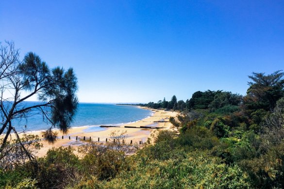 Visiter Phillip Island en 6 incontournables dans le Victoria