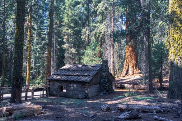 Visiter le parc national Sequoia (nos incontournables)