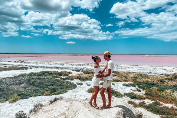Nos incontournables pour visiter la Camargue